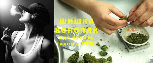 шишки Беломорск