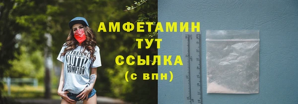 шишки Беломорск