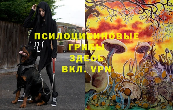 спайс Белокуриха