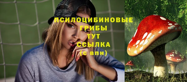 шишки Беломорск