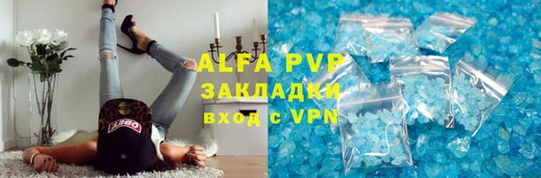 шишки Беломорск