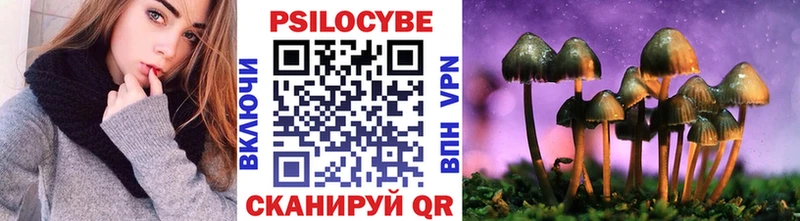 МЕГА маркетплейс  Петров Вал  Галлюциногенные грибы Cubensis 